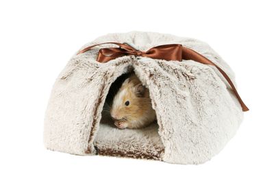 Bed for Rodents Maggie 3in1