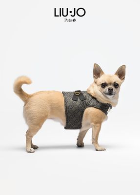 Pettmesh