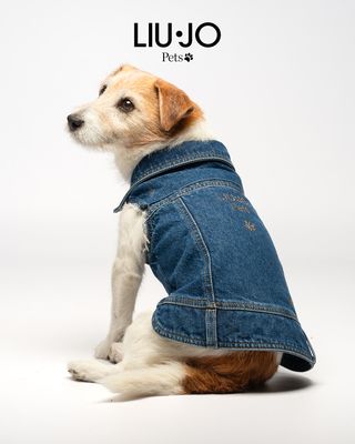 Giubbotto Denim