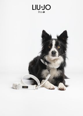 Guinzlagio cani grandi girevole