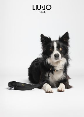 Guinzlagio cani grandi girevole