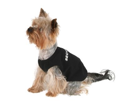 T-shirt Security