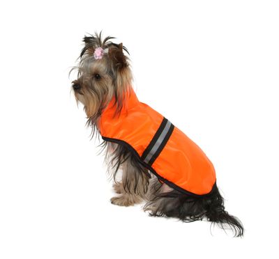 Reflective Vest