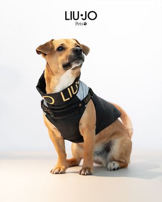 ​Gefütterte Liu-Jo Hundejacke mit Geschirr