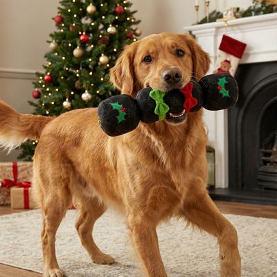 Interaktiver Weihnachts-Cracker "Fashionista" - Auseinanderziehbares Spielzeug mit 2 Squeakern - Schwarz