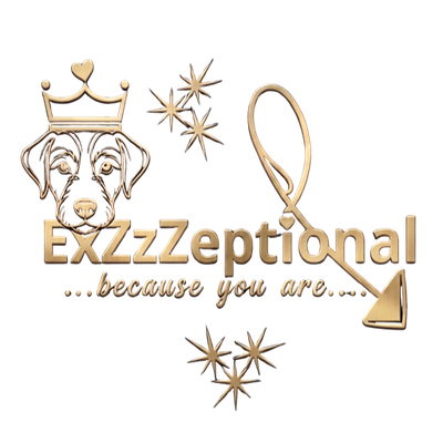 ExZzZeptional
