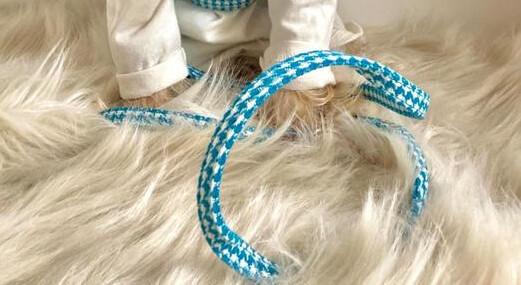 Pepita turqouise Leash Stock Pepita turqouise Leash Stock
