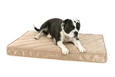 Orthopedic Mattress Platinum