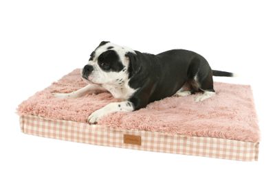 Orthopedic Mattress Domino