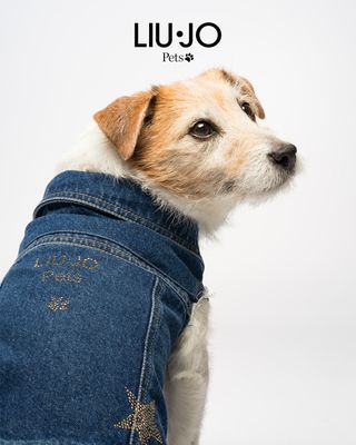 Giubbotto Denim