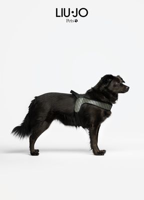 Liu Jo Pettorina Big Monogram Dog Harness