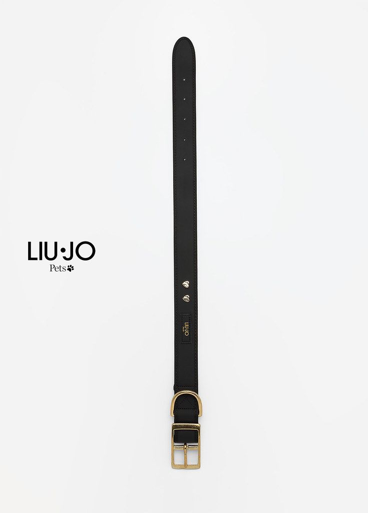 Liu Jo Collare Cuori Halsband, Kleur: Nero