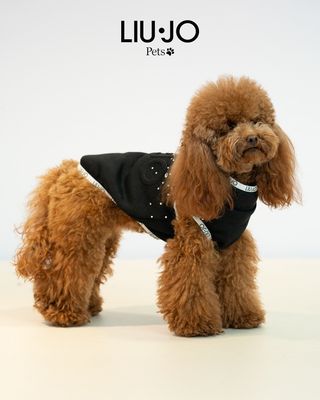 Liu-Jo sweater met strassteentjes