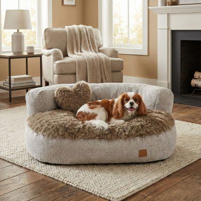 Baldo Luxe Italiaanse Hondensofa – Volledig Wasbaar 100x75x20cm