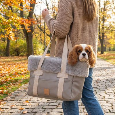 Baubaru Annalisa Luxus-Tragetasche – Eco Taupe + Castorino Sand