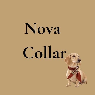Collier Nova – BioThane® & Paracord - Skyo
