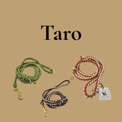 Skyo Atelier Taro Gewoven Leibanden – Comet, Track & Trail op model (bijpassend bij Halsband)