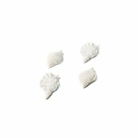 COQUILLAGE ADHESIFS BLANCS IRISE 7X4CM (x4)