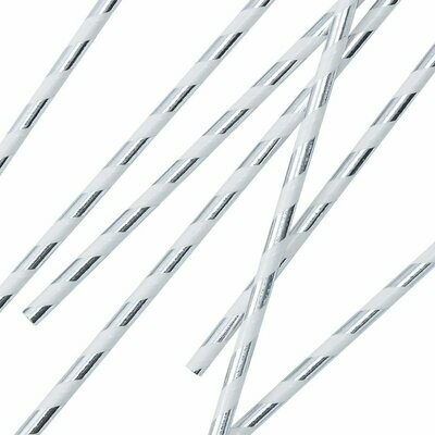PAILLE A RAYURE ARGENT (x24)