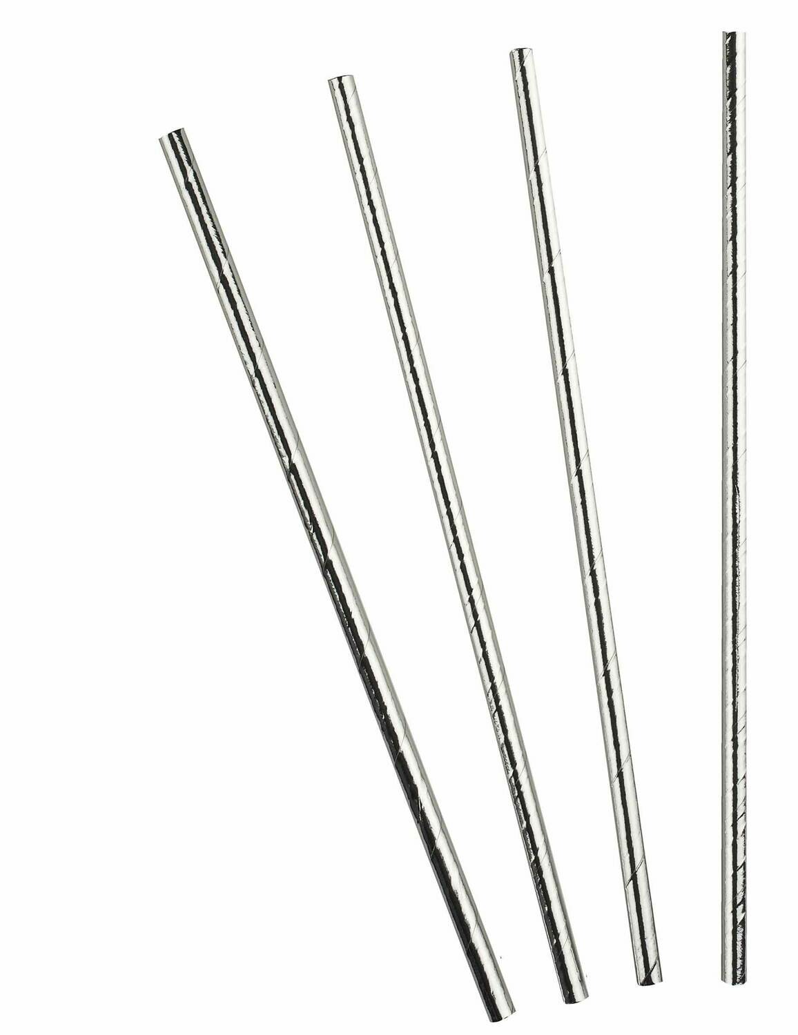 PAILLE CARTON METALLISEE ARGENT (x24)