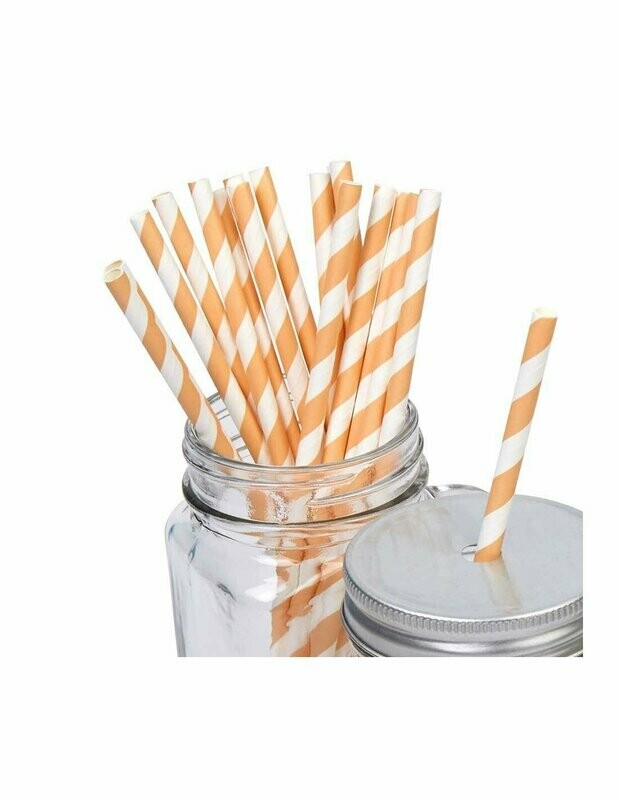 PAILLE A RAYURE PECHE (x24)