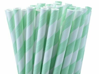 PAILLE A RAYURE MENTHE (x24)