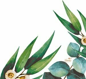 SERVIETTE 3 PLIS BLANCHE ET EUCALYPTUS 33x33CM (x20)