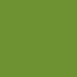 SERVIETTE QUALITE LUXE VERTE 40x40CM (x12)