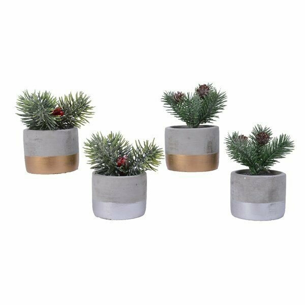 BRANCHES DE SAPIN EN POT GIVRE 13CM (MODELE ALEATOIRE)