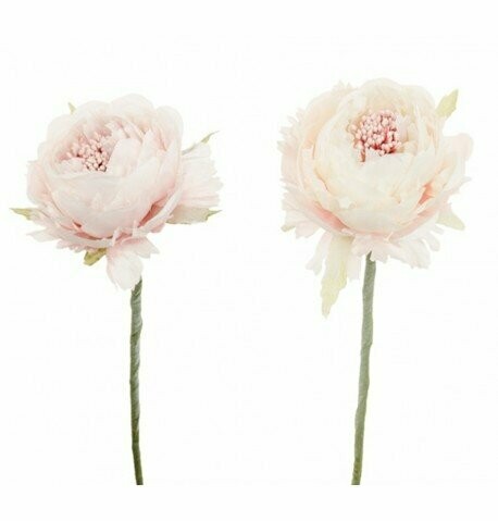 RENONCULE 2 COULEURS ASSORTIES ROSE/IVOIRE 33CM