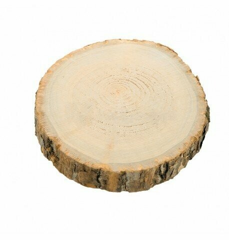 RONDIN DE BOIS 17CMx2.5CM