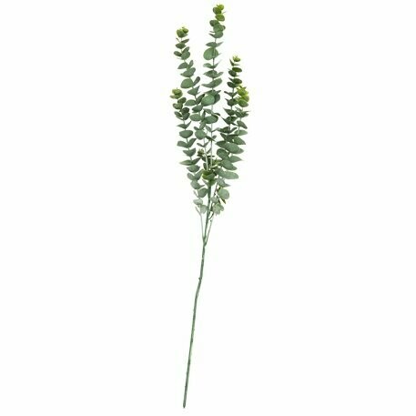 BRANCHE DE FEUILLES EUCALYPTUS VERT BLANCHI 83CM