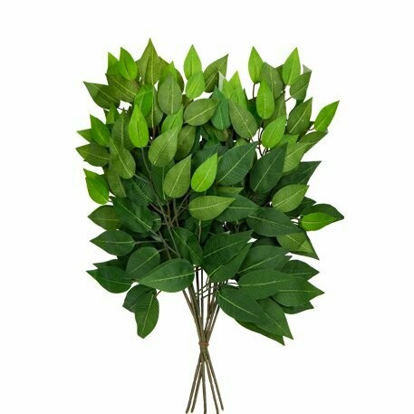 BRANCHE DE FICUS VERT 40X30CM SUR TIGE 15CM