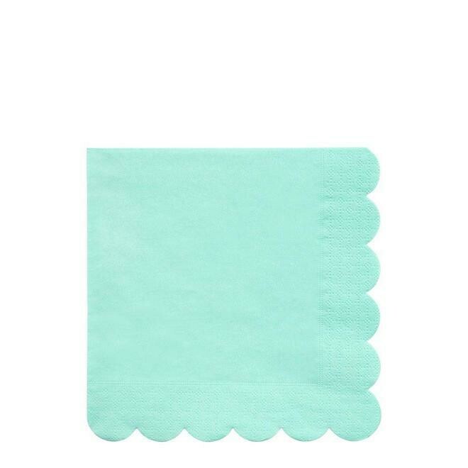 SERVIETTE MENTHE BORDURE BISCUIT 33CM (x20)