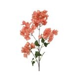 BRANCHE BOUGAINVILLIER ORANGE 1M