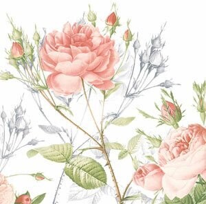 SERVIETTE OUATE GARDEN PRIDE 24CM (x20)