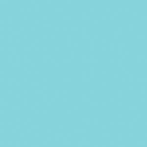 SERVIETTE QUALITE LUXE TURQUOISE 40CM (x12)