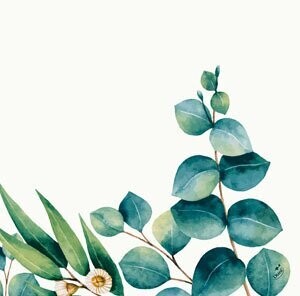 SERVIETTE LUXE EUCALYPTUS 40CM (x60)