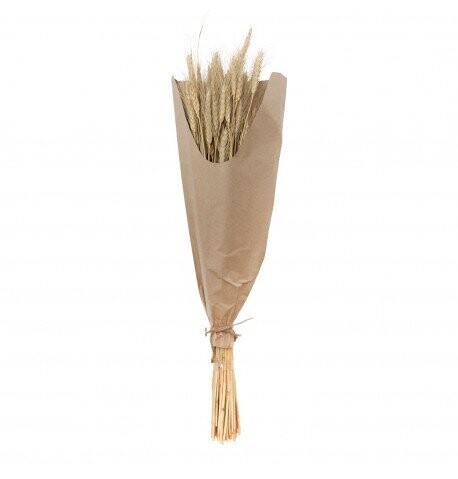 BOUQUET EPIS DE BLE NATURELS 60G 70CM ENVIRON 40 TIGES