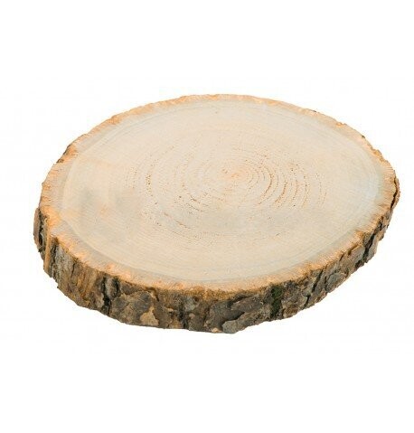 RONDIN DE BOIS 30CMx2CM