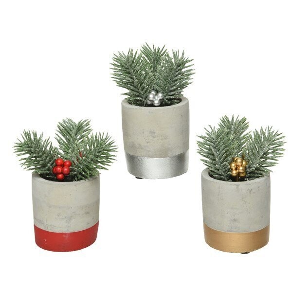 MINI BRANCHE SAPIN ET BAIES EN POT 3 MODELES ASSORTIS 6x12CM