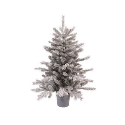 SAPIN GRANDIS GIVRE 35x45CM