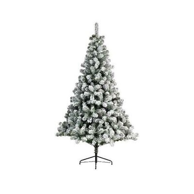 SAPIN IMPERIAL ENNEIGE SUR PIED 81CMx1.20M