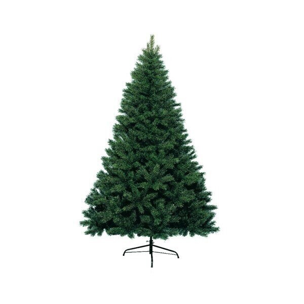 SAPIN CANADA SUR PIED 1.17Mx1.80M