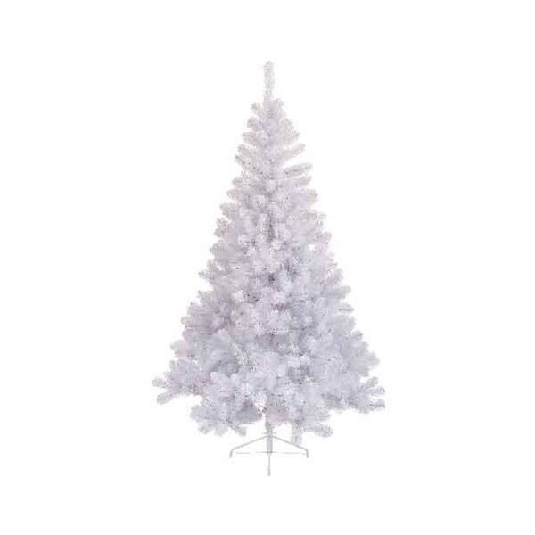 SAPIN IMPERIAL BLANC SUR PIED 97CMx1.50M