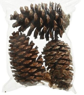 POMMES DE PIN NATUREL (X3)