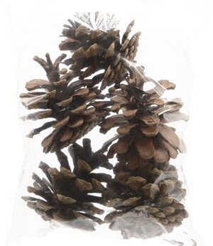 POMMES DE PIN NATURELLES (x5)