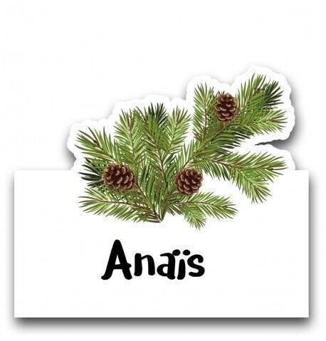 MARQUE PLACES BRANCHES SAPIN 8x8CM (x6)