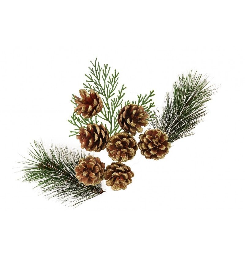 DECORATIONS HIVER SAPIN POMMES DE PIN FOUGERE NATUREL 100GRS
