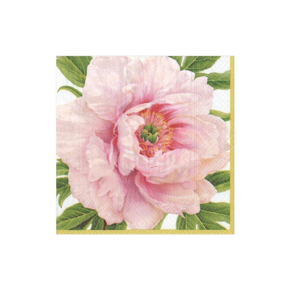 SERVIETTE COCKTAIL RENONCULE ROSE 12.5CM (x20)